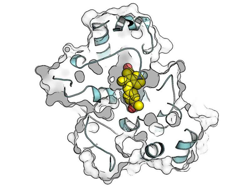 Promising treatment for gastrointestinal stromal tumours