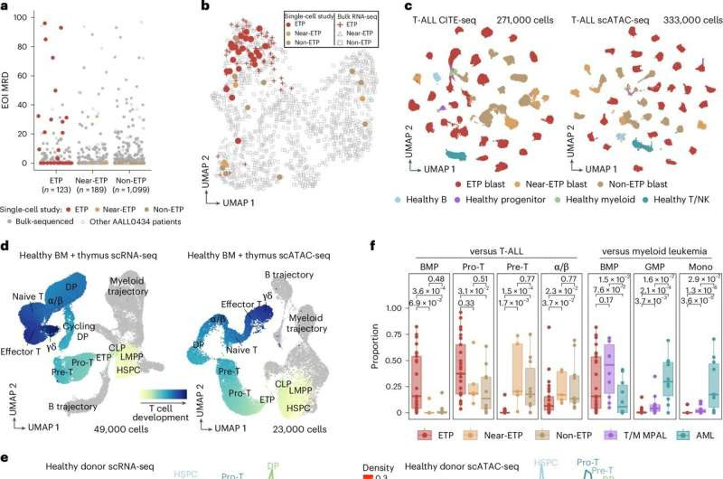 Researchers identify gene signature for high-risk form of T-cell acute lymphoblastic leukemia