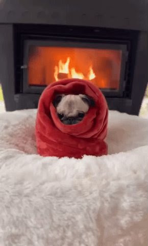 Winter-Dog-wrapped-up-in-front-of-Fireplace