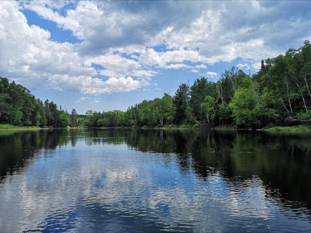 a Lake surrounded by trees on a day with blue skies and white clouds
