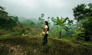 Las comunidades indígenas de Perú cultivan café ecológico para mejorar sus medios de subsistencia.