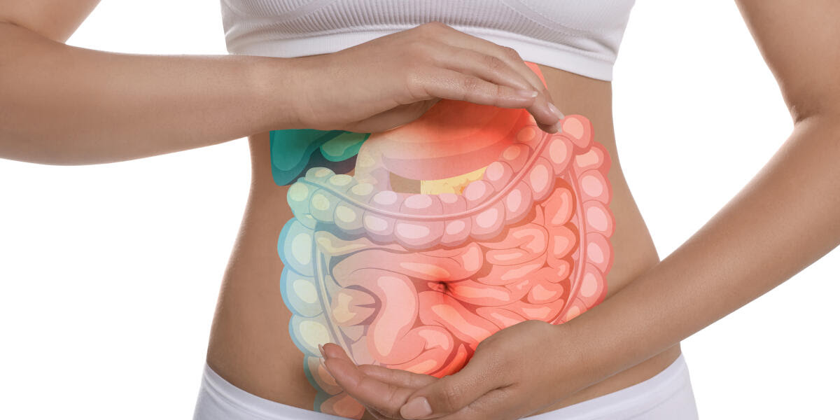 Closeup view of woman with illustration of abdominal organs on her belly against white background