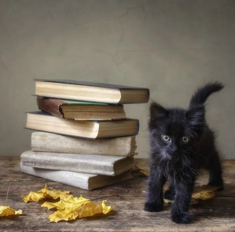 Read-Kitten