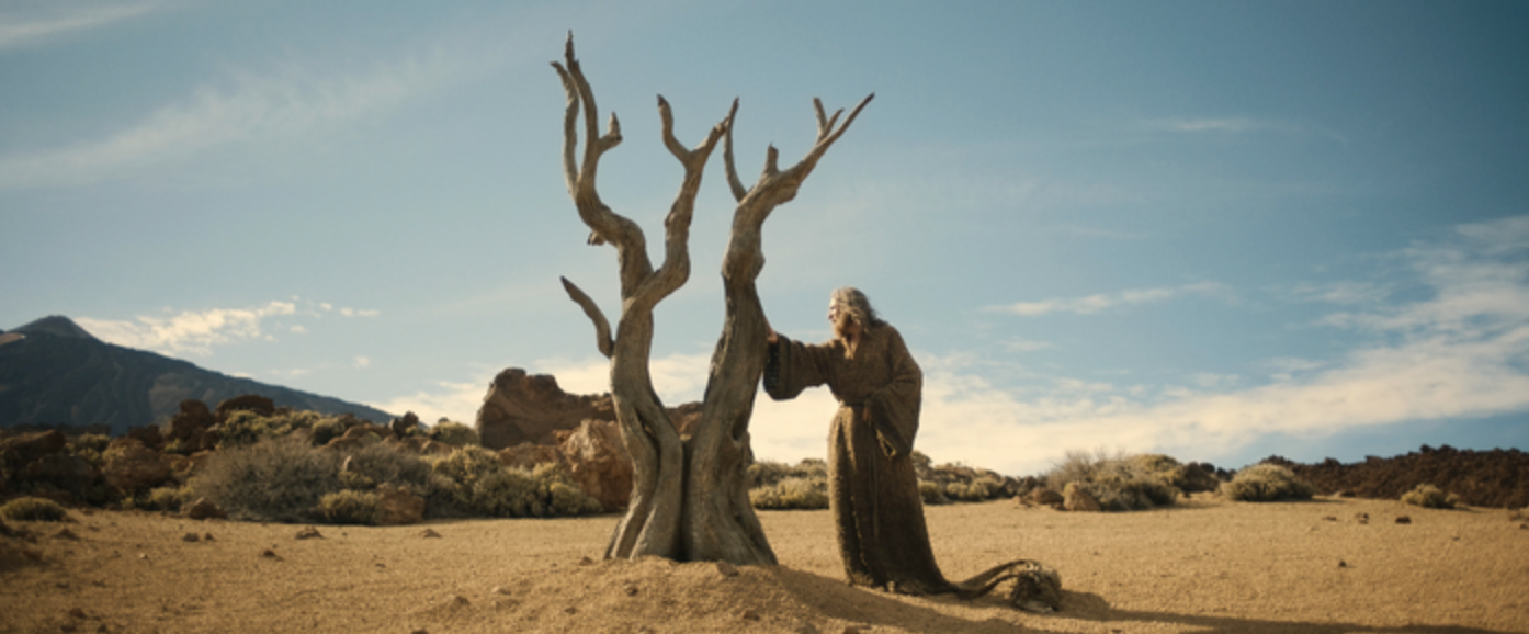 [Image: a30f890b-d3d0-4969-453f-8d5c10e6454e.png]