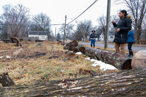 Deeply Rooted Detroit