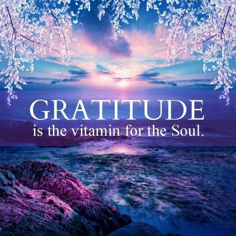 ''Gratitude is the vitamin for the soul'' quote 