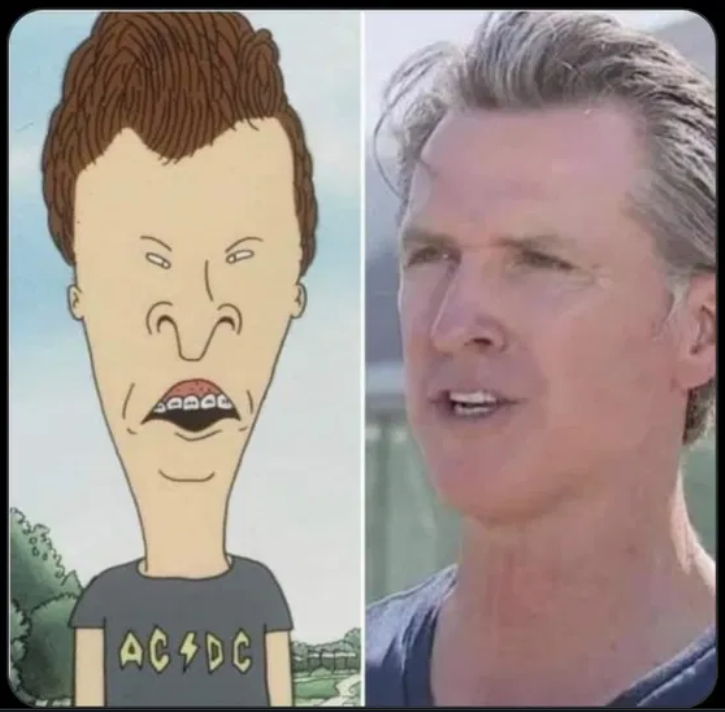 Comparing Beavis to Newsom.