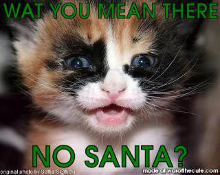 Christmas-Cat-Santa
