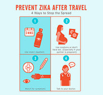 Zika Travel: 4 Part Graphic Thumbnail