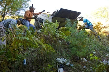 forest cleanup