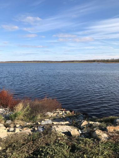 landscape view of the Perch River WMA