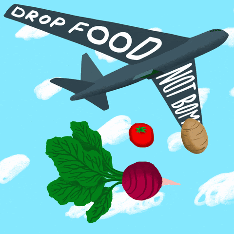 Moving image of an airplane dropping food. "Drop food not bombs" is written on the plane's wings
