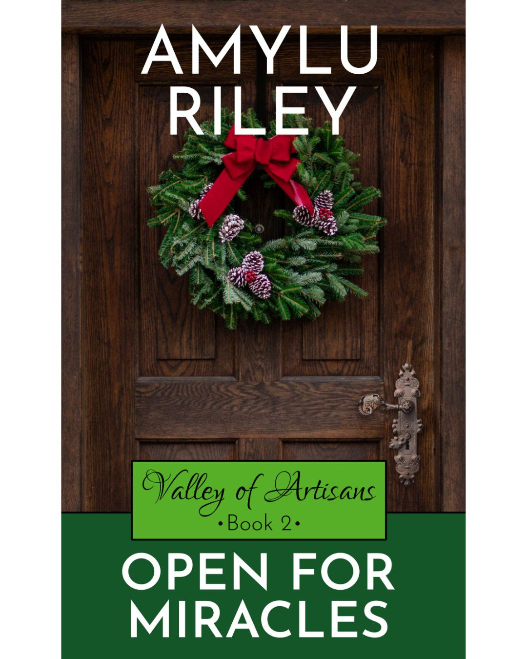 Book cover, Open for Miracles by AmyLu Riley