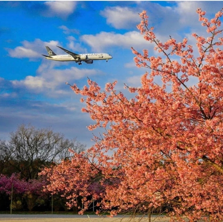 Азия. Понедельник. Азия. Понедельник.