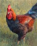 Leo the Rooster No. 4 - Posted on Monday, January 5, 2015 by Naomi Gray