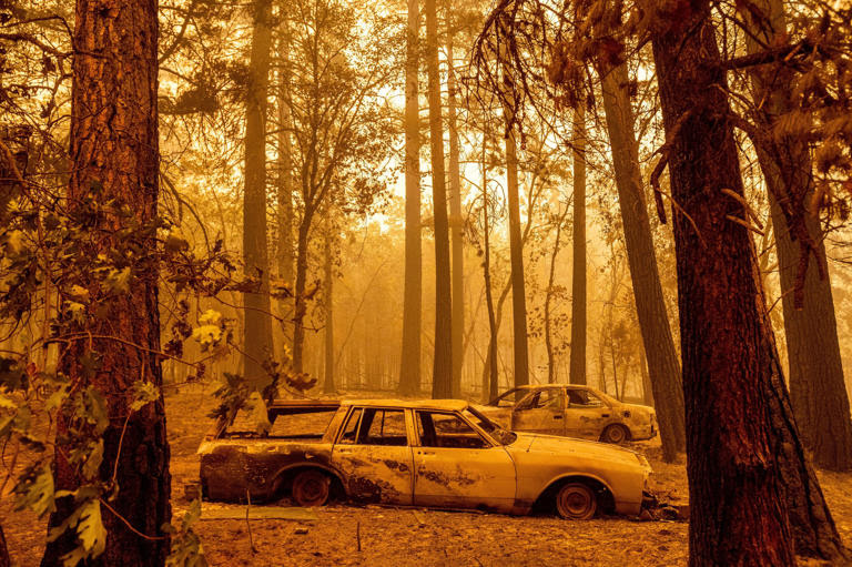 Cars scorched during the Dixie Fire in the Indian Falls community of Plumas County, California, on July 25. AP Photo/Noah Berger