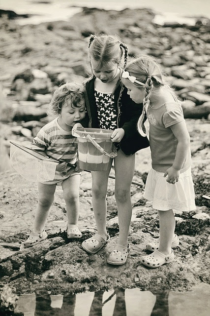 curiosity