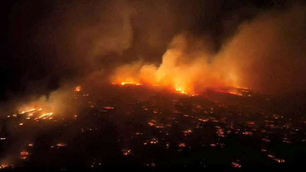 Maui Officials Reveal Cause of the Wildfires — Dems' Climate Change Claim Debunked