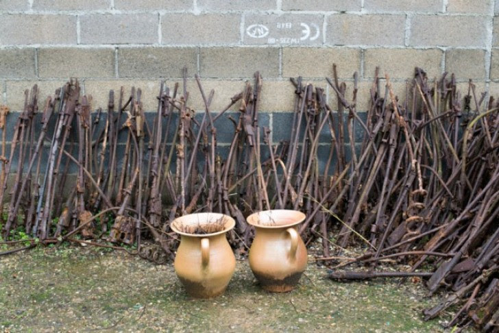 http://cdn.wtvideo.com/images/article/list/9262_24.jpg