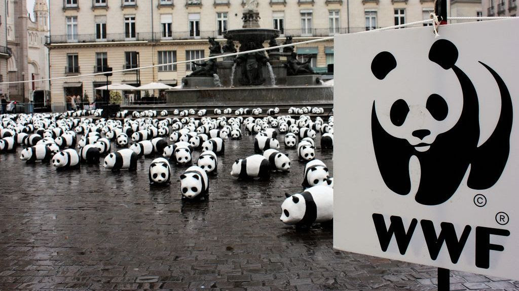 WWF