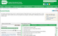 Screen capture of Fogarty grant search tools