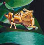 Poison Dart Frog #3 - Posted on Saturday, December 27, 2014 by Laura Wolf