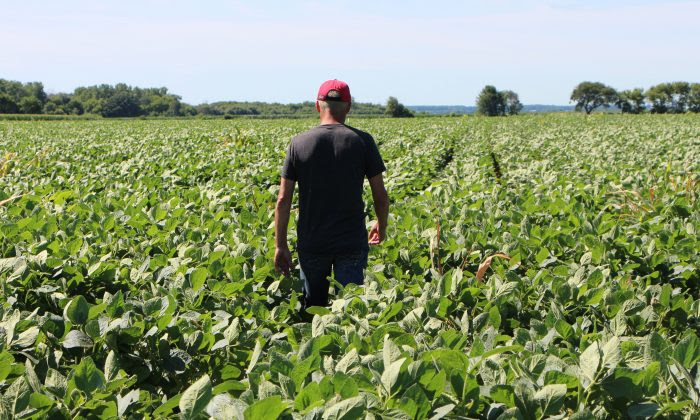 ‘Perfect Storm’ Hitting US Crop Planting Amid Talk of Shortages