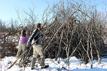 volunteers put brush into a pile