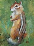 Chip - Original Wildlife Painting of Chipmunk - Deb Kirkeeide - Posted on Tuesday, March 3, 2015 by Deb Kirkeeide