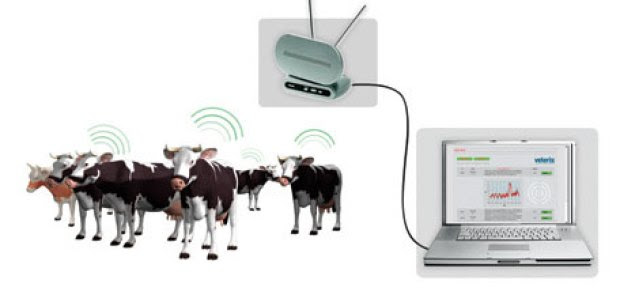 Veterix – электронная капсула для домашнего скота