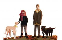 'Mastín', una novela juvenil solidaria con los animales sin hogar