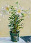 April Lily,still life,oil on canvas,16x12,price$300 - Posted on Sunday, April 12, 2015 by Joy Olney