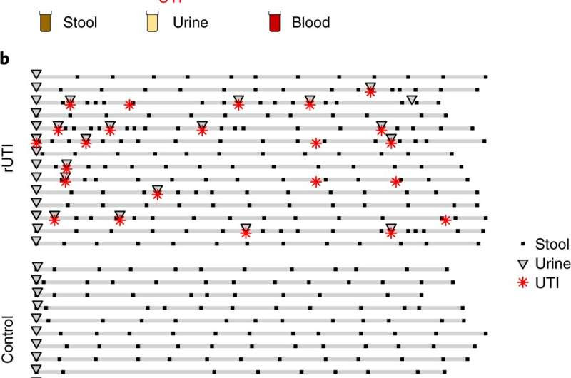 Recurrent UTIs linked to gut microbiome, chronic inflammation