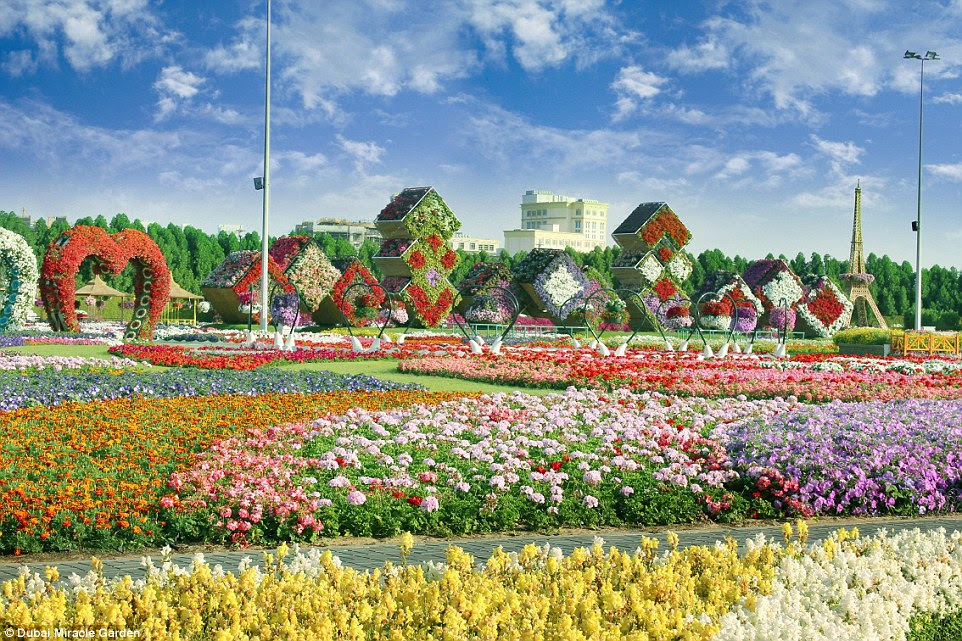 The spectacular bonanza provides a colourful oasis for the eyes of city workers, who can escape to the natural splendour
