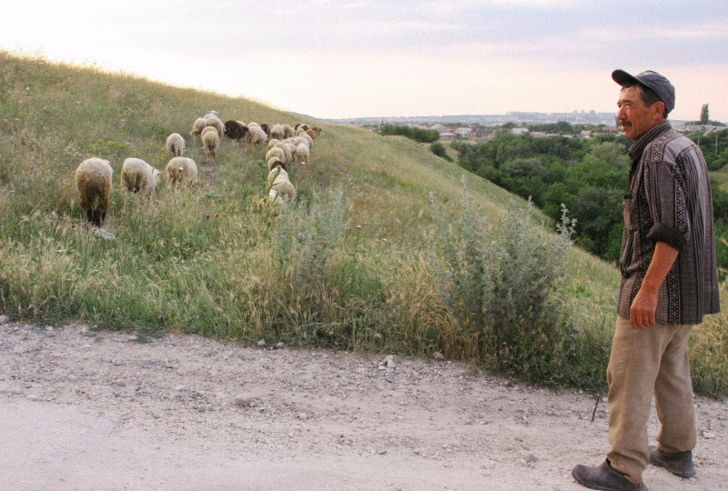 Crimean Tatar Shepherd