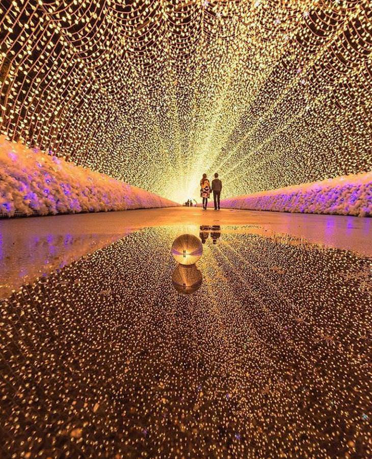 Photos that look like art