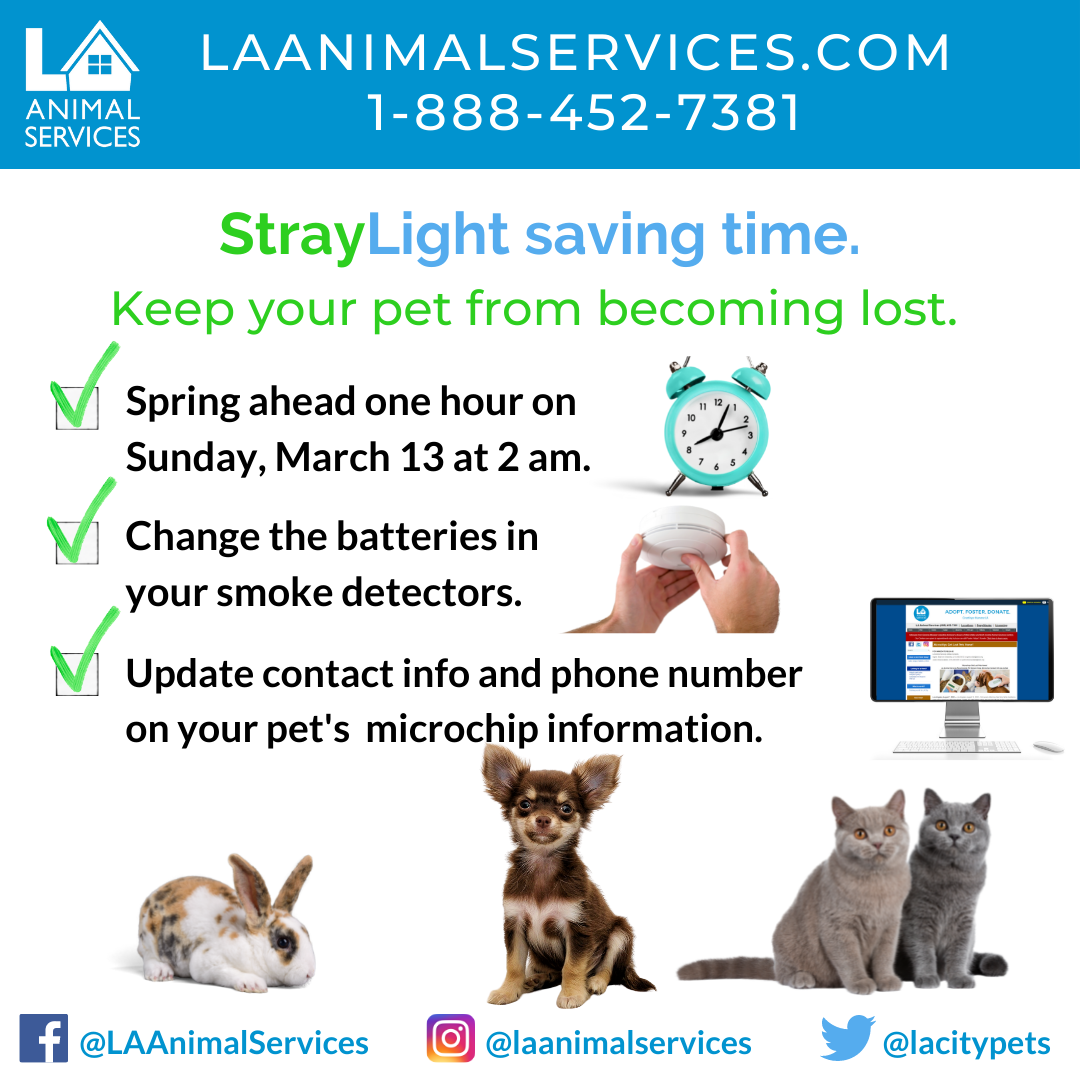 Spring Forward LAAS Pet Care Reminder