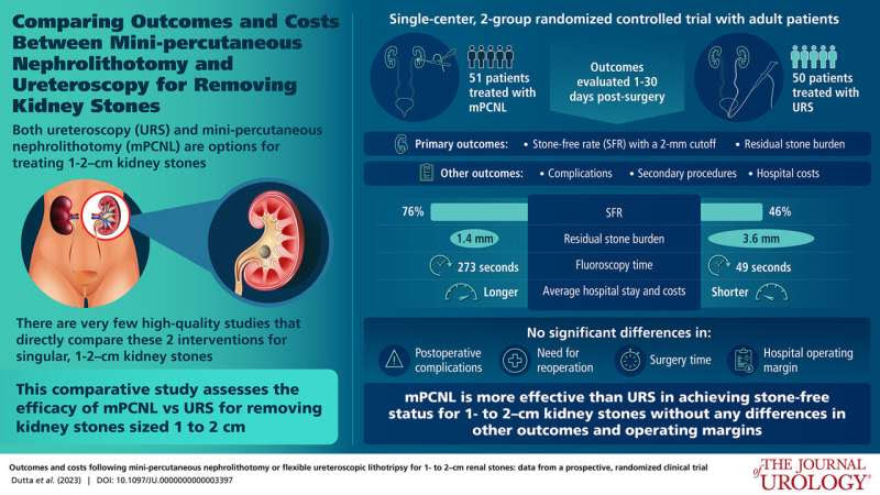 'Mini-PCNL' surgery has higher stone-free rate in treating intermediate-size kidney stones