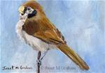 Spot Breasted Parrotbill ACEO - Posted on Wednesday, March 11, 2015 by Janet Graham