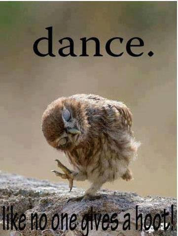 Dance-Hoot