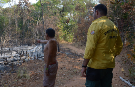 Território Myky é alvo de incêndios criminosos. (Foto: Juliana Arini/Amazônia Real)