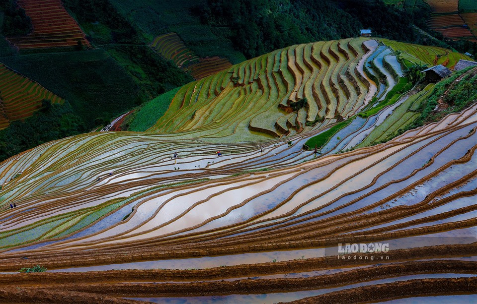 Năm 2007, ruộng bậc thang ở 3 xã La Pán Tẩn, Dế Xu Phình và Chế Cu Nha - thiên đường ruộng bậc thang Việt Nam - đã được Nhà nước công nhận Danh thắng quốc gia. Không chỉ vậy, Mù Cang Chải còn được bầu chọn vào top 10 ruộng bậc thang đẹp nhất thế giới.