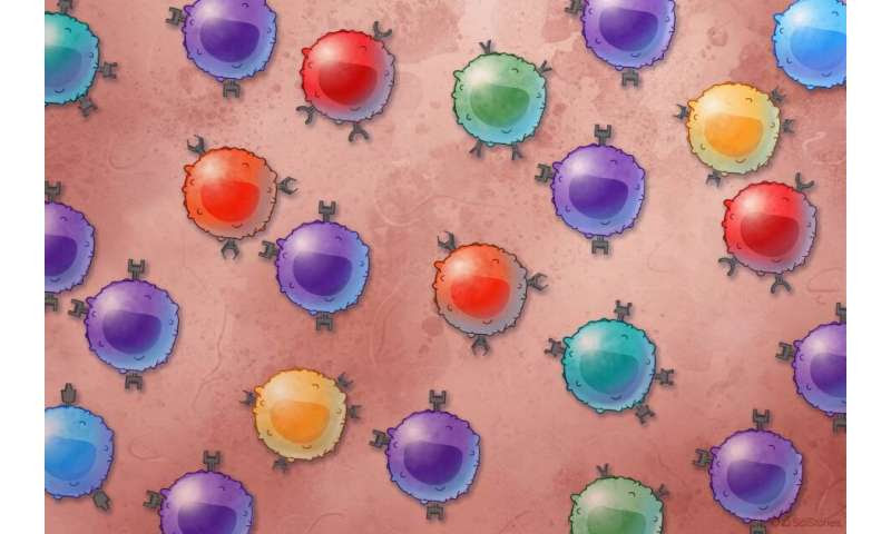 Technique identifies T cells primed for certain allergies or infections