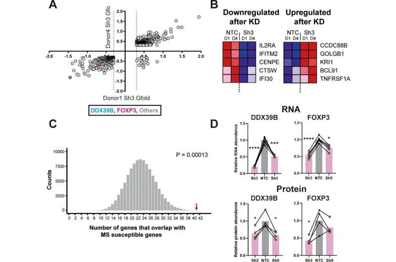 Multiple sclerosis discovery IDs key factor that shapes your risk