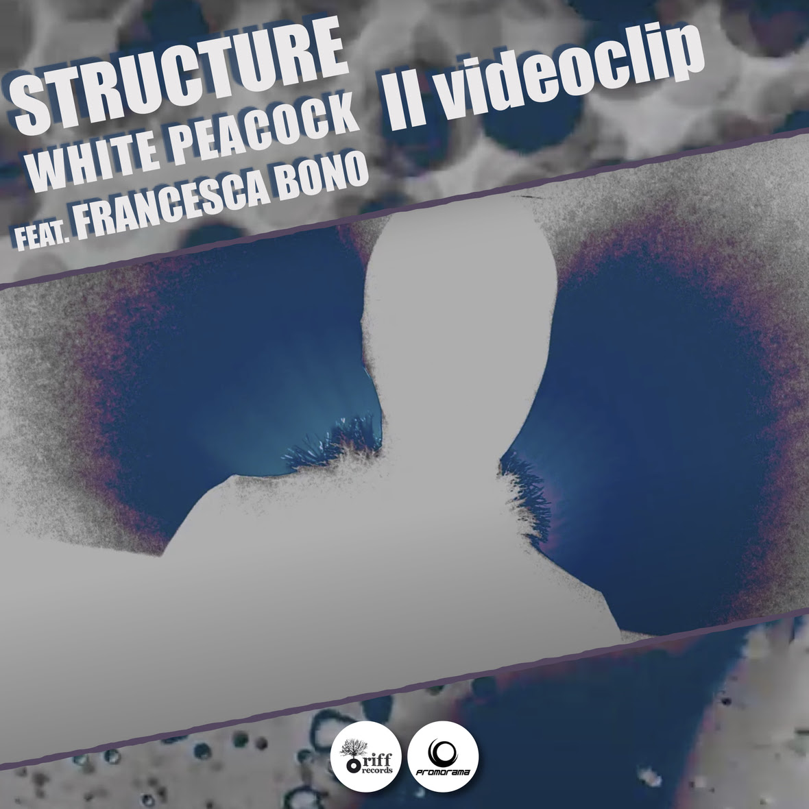 Structure - White Peacock videoclip
