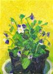 Violas in Sunlight,still life,oil on canvas,7x5,price$200 - Posted on Saturday, January 31, 2015 by Joy Olney