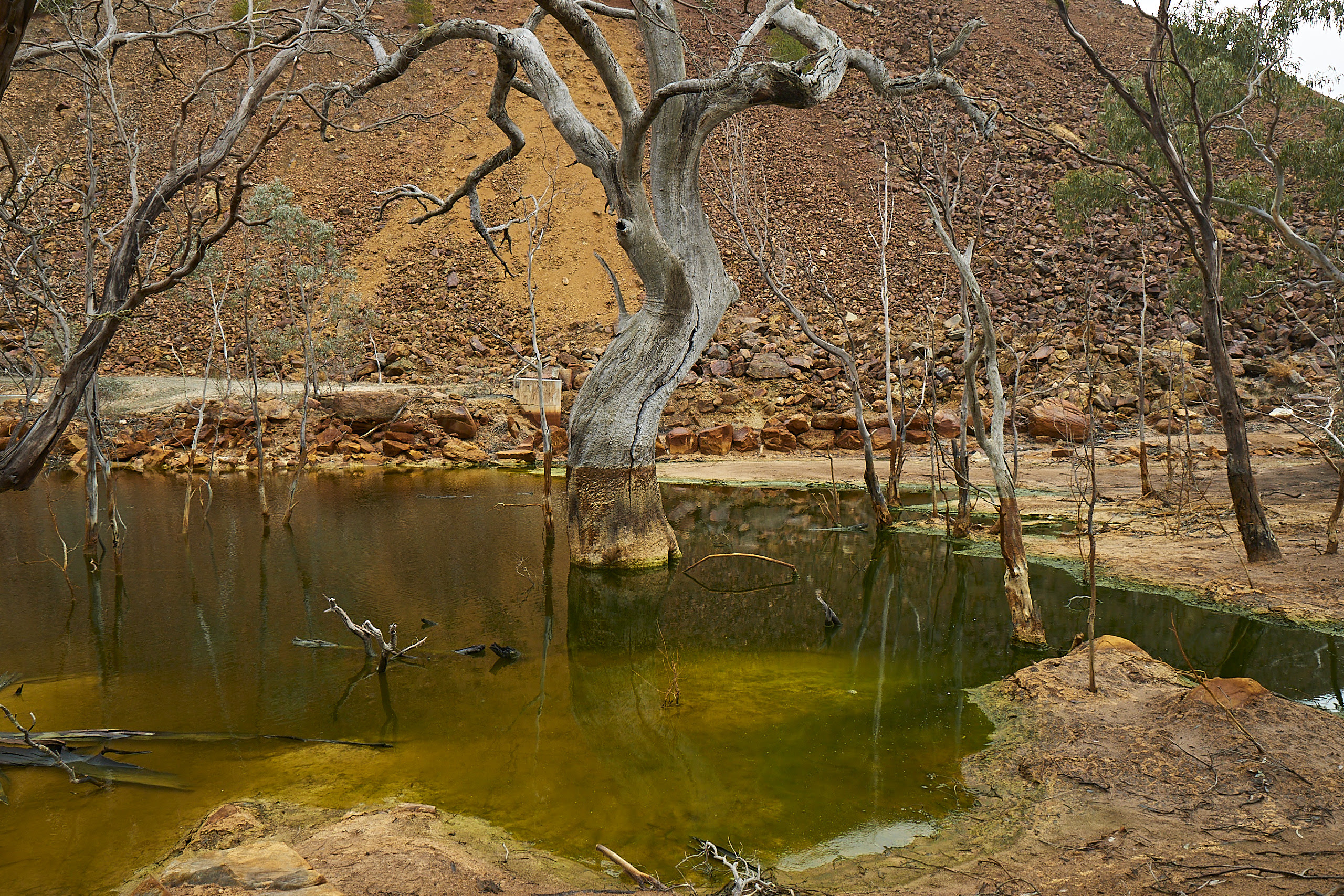 Runoff from the Brukunga Mine, in the Adelaide Hills