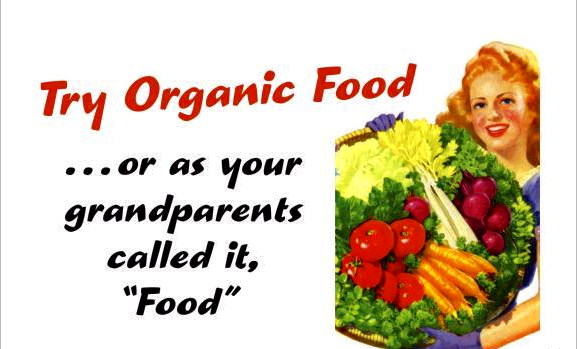 organic food1