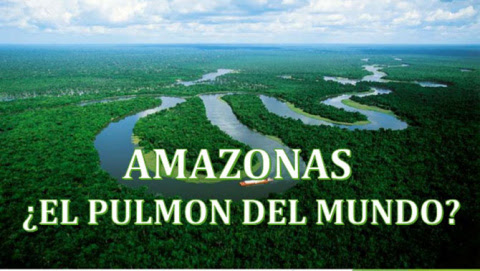 EL AMAZONAS YA NO ES EL PULMÓN DEL PLANETA