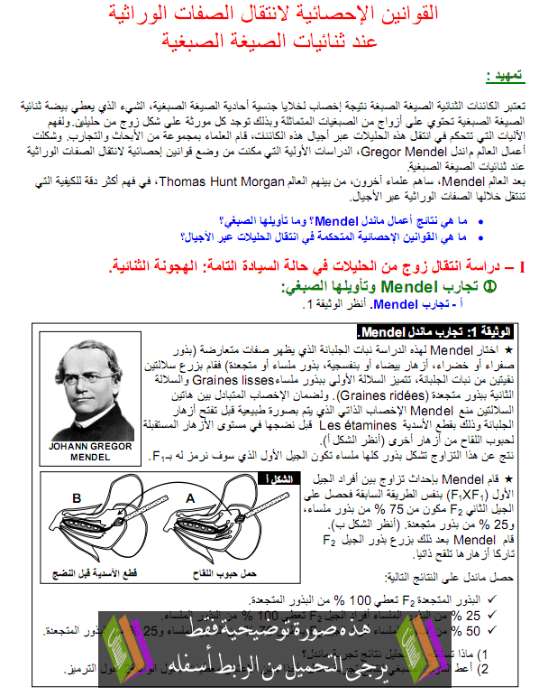  درس علوم الحياة والأرض: القوانين الإحصائية لانتقال الصفات الوراثية عند ثنائيات الصيغة الصبغية – الثانية باكالوريا علوم رياضية Intikal-asifat-alwiratia